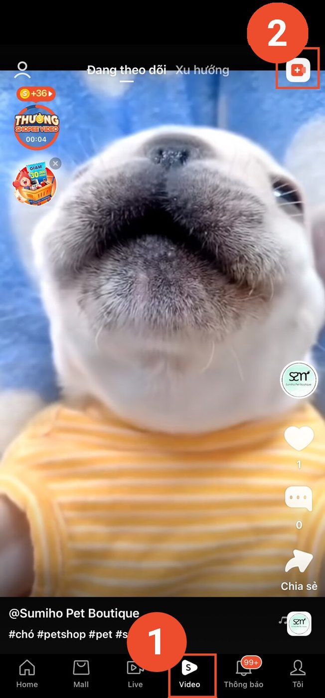 Shopee Video: Cơ hội mới cho KOC, Affiliate và Nhà bán hàng